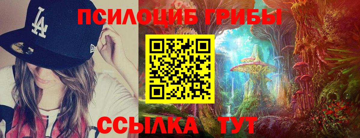Псилоцибиновые грибы Psilocybine cubensis Бутурлиновка